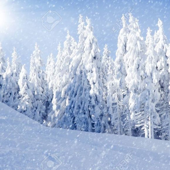 Meet your Posher, Hazal - Picture 1 of 1